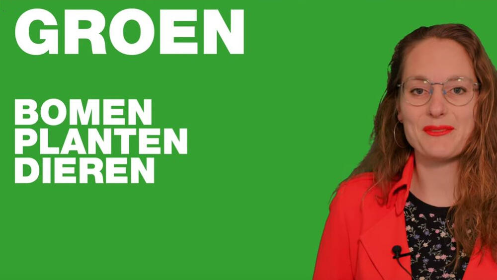 Statenverkiezingen, begrijpelijk voor iedereen