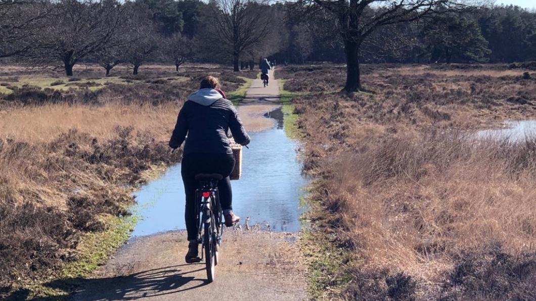 Elke fietst op een fietspad door een heide heen, met de rug naar de camera. Op de achtergrond een bos, in de heide staan enkele bomen, verspreid.