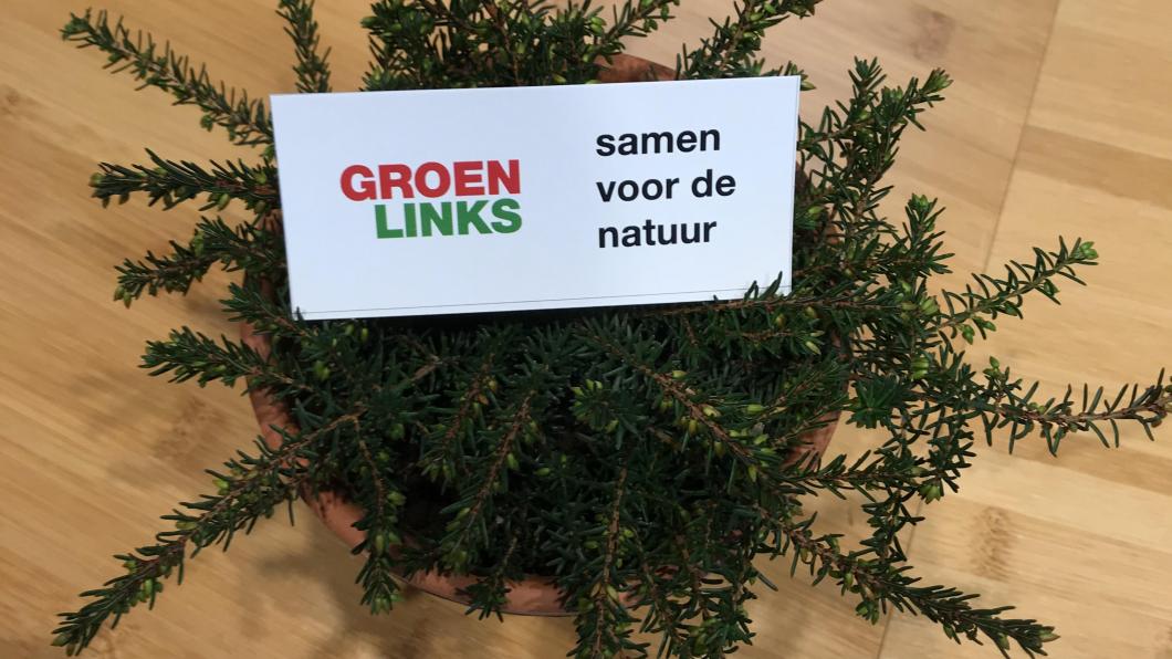 heideplantje.jpg