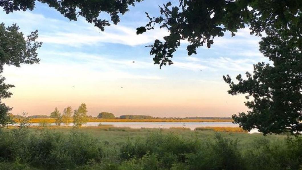 Natuurgebied Dwingelderveld. Foto: Mirah Boll
