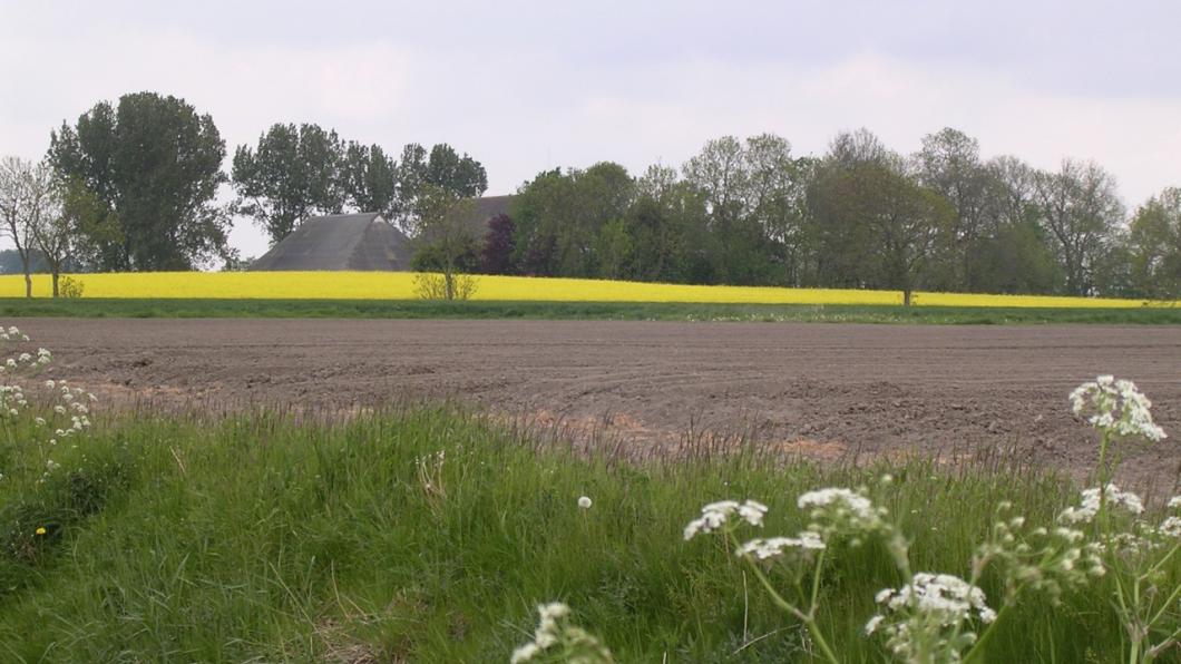 DSCN0213_WierdeMetKoolzaat_1280.jpg