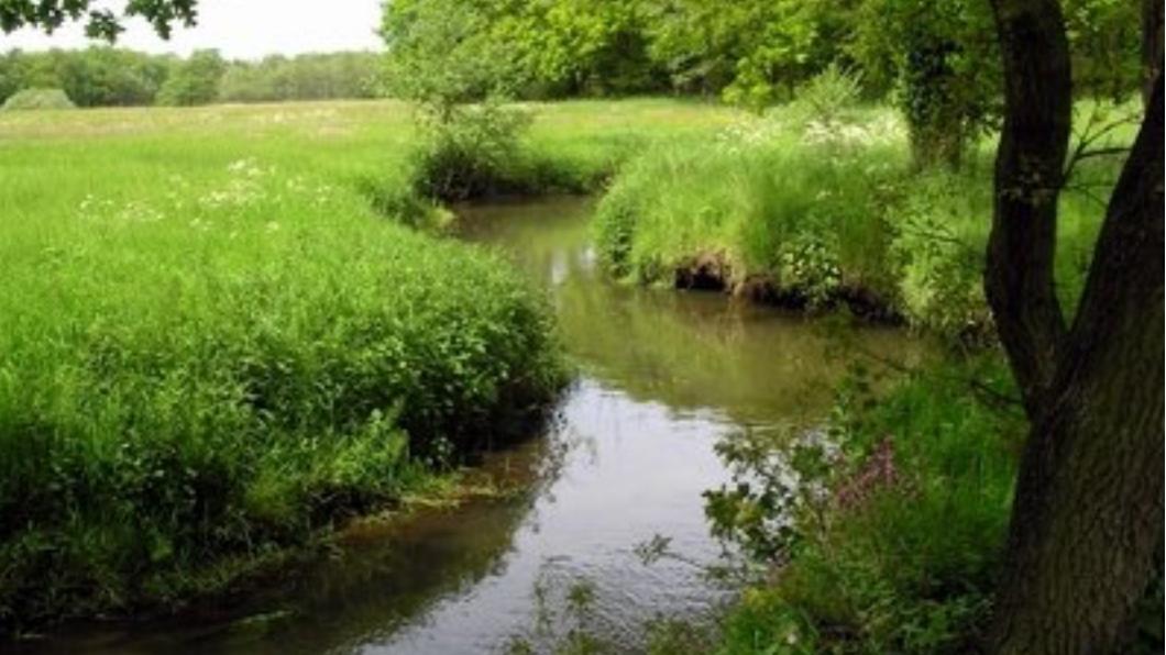 FullSizeRender (natuur).jpg