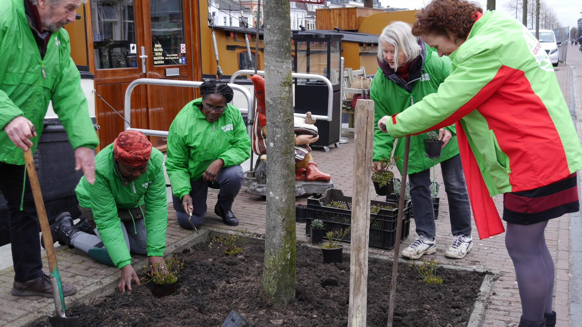 Foto van 5 GroenLinks vrijwilligers (in groene GroenLinks jasjes) die een boom aan het planten zijn.