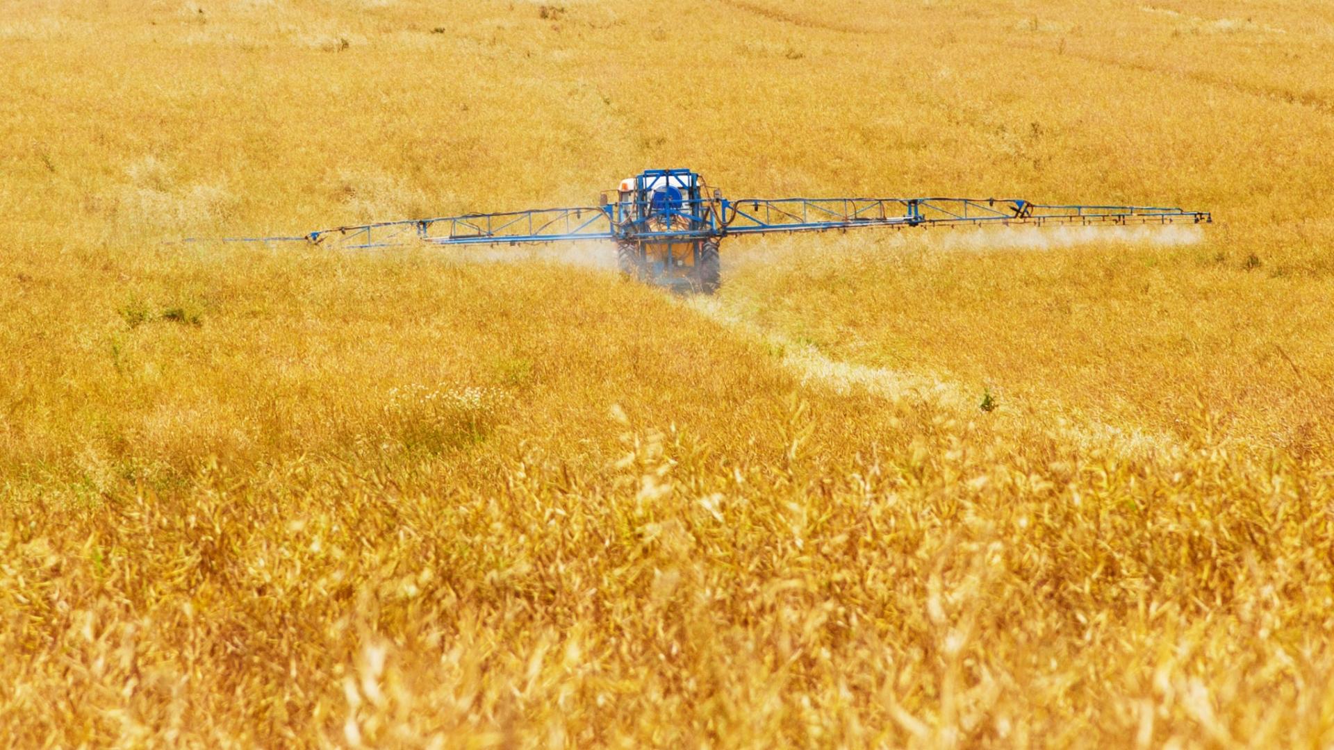 Foto van een tractor die bestrijdingsmiddelen verspreid, in een graanveld
