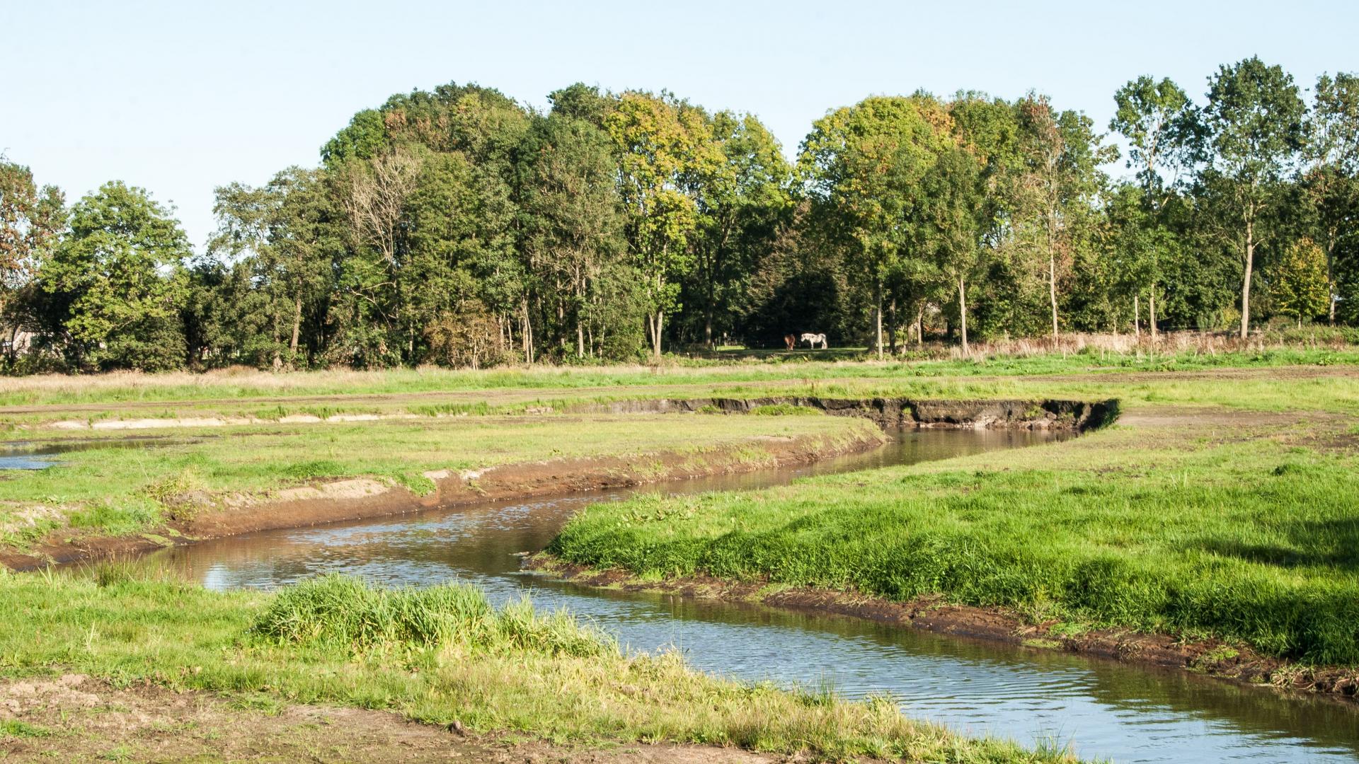 Foto van de deurzer diep, een beek middenin de Drentsche Aa