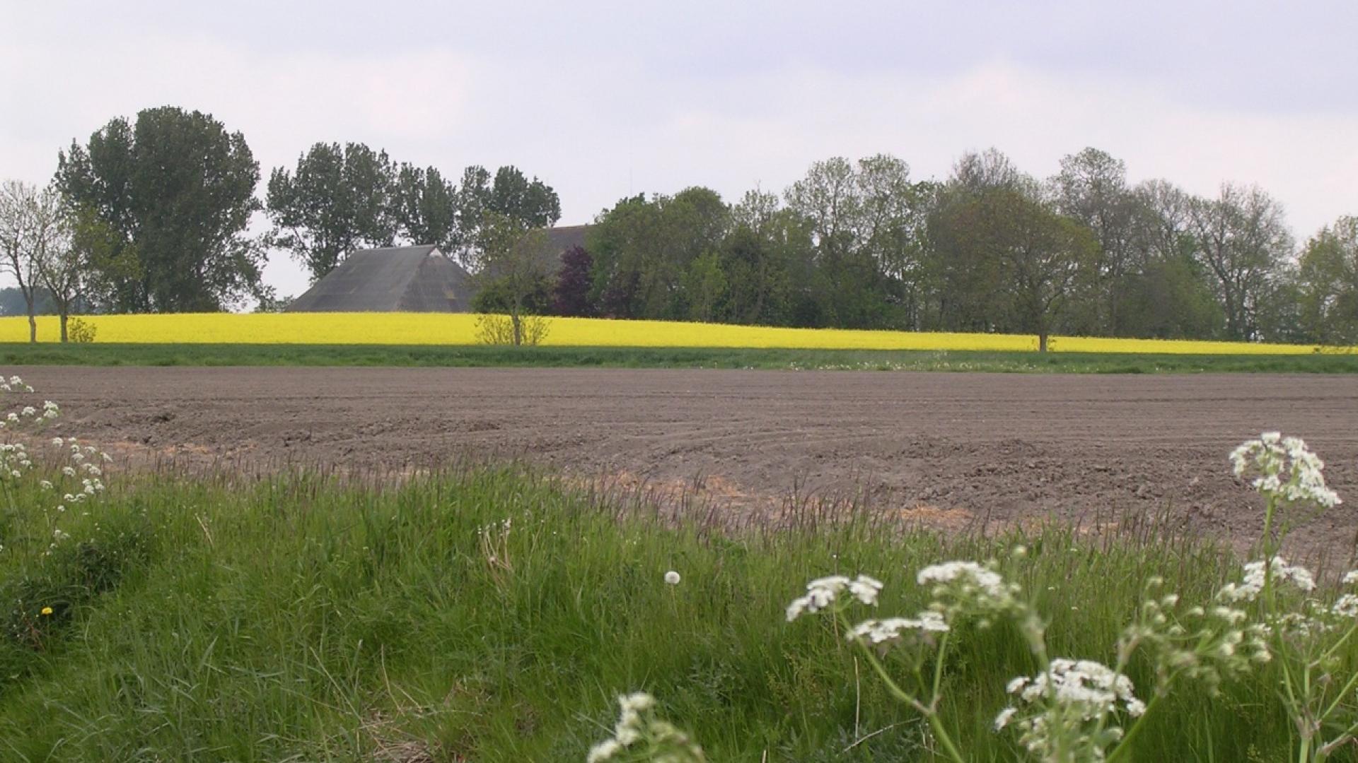 DSCN0213_WierdeMetKoolzaat_1280.jpg
